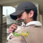 Profile picture of azad